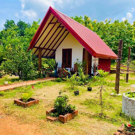 Sigiri Enaya Cottage Sigiriya Bagian luar foto
