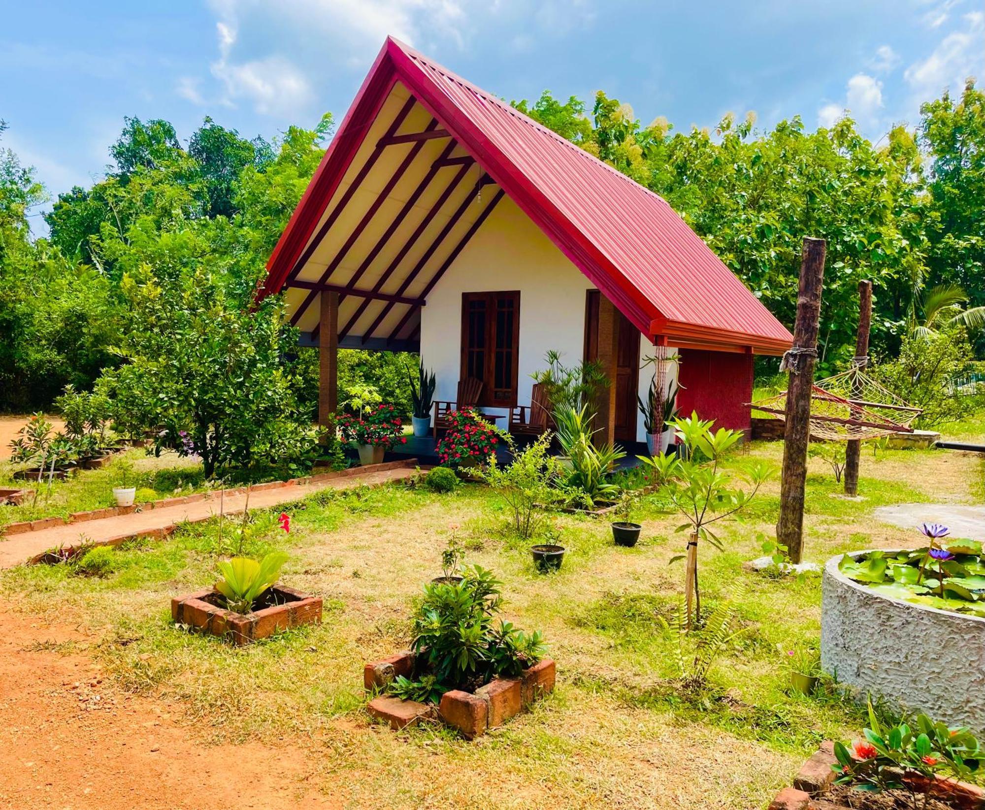 Sigiri Enaya Cottage Sigiriya Bagian luar foto
