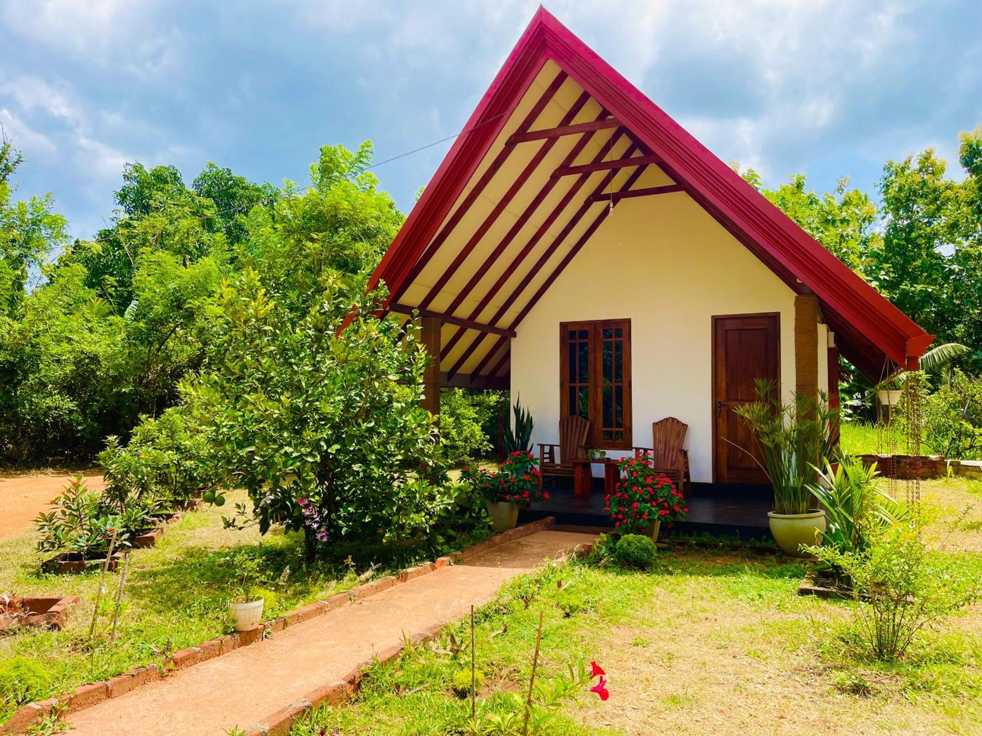 Sigiri Enaya Cottage Sigiriya Bagian luar foto